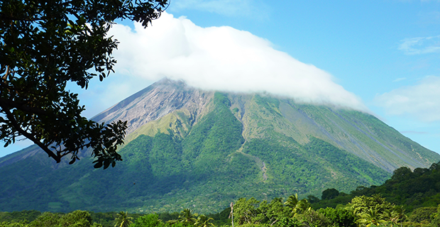 placeholder image-sq